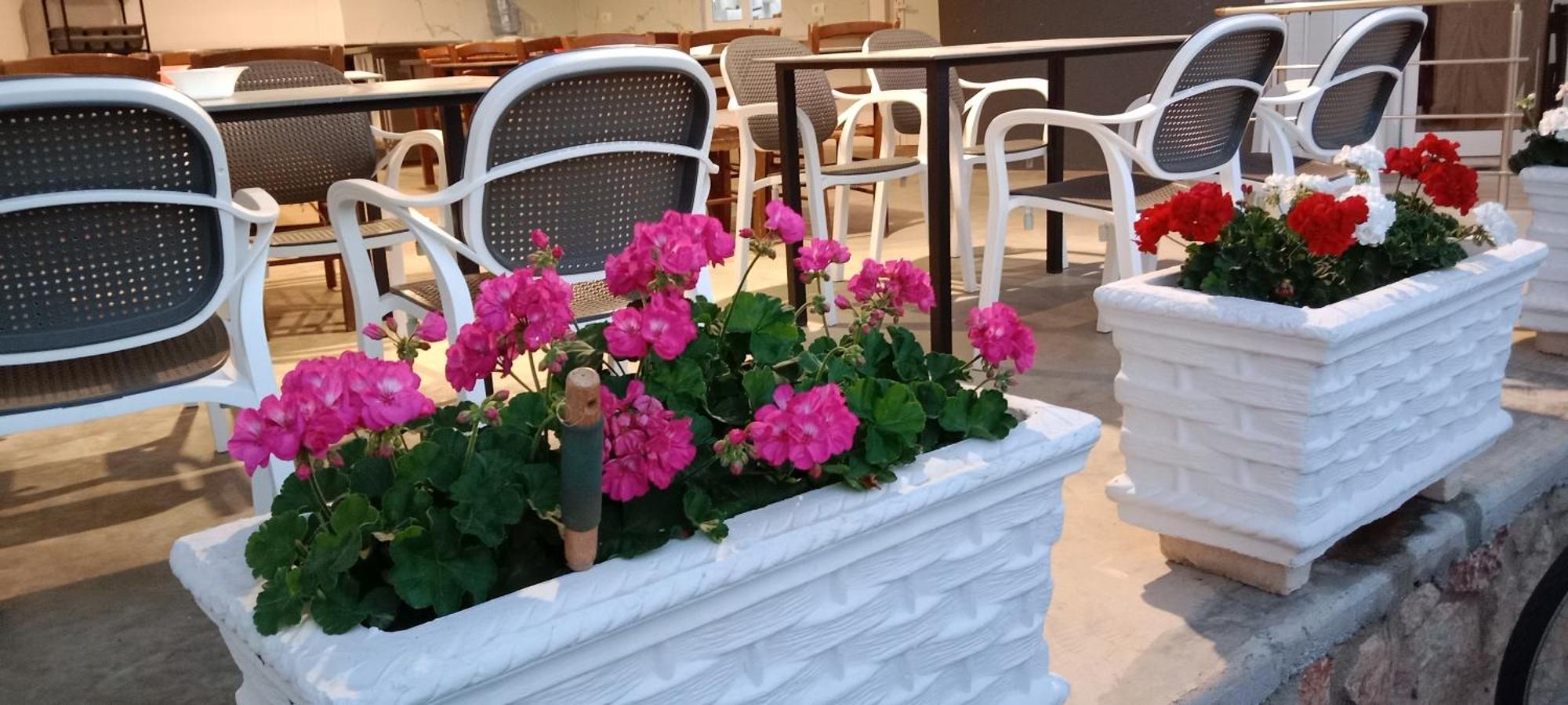 קסאמיל Hotel Villa Ruci מראה חיצוני תמונה